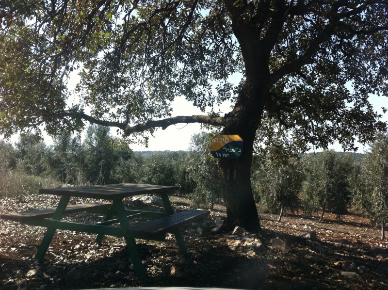 קובץ:2011.11.28-122550.67.iphone.jpg