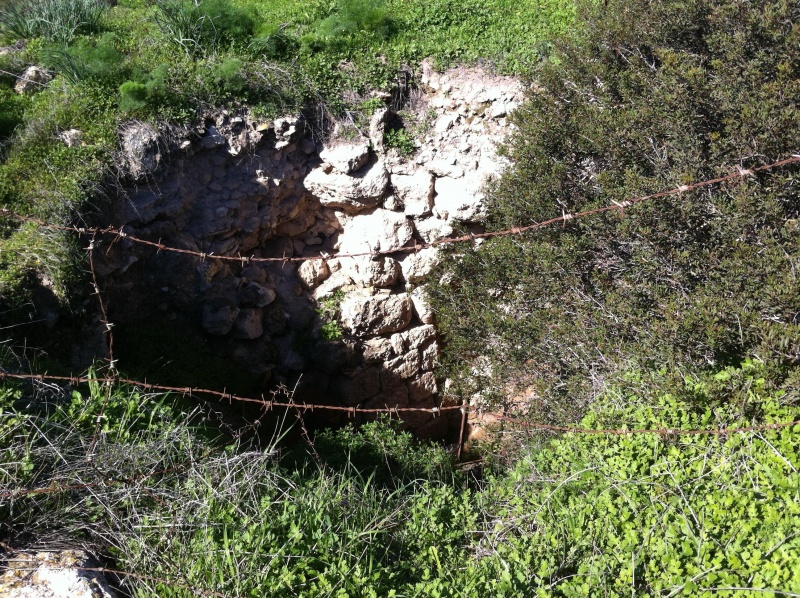 קובץ:2012.02.4-125403.356.iphone.jpg