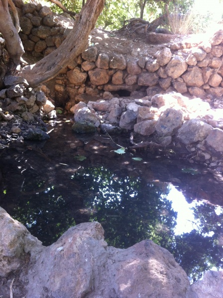 קובץ:2012.07.28-101653.535.iphone.jpg