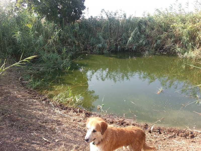 קובץ:20120909 090823.jpg