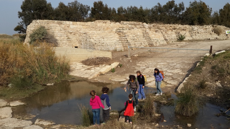 קובץ:2013-12-28 13.09.04a.jpg