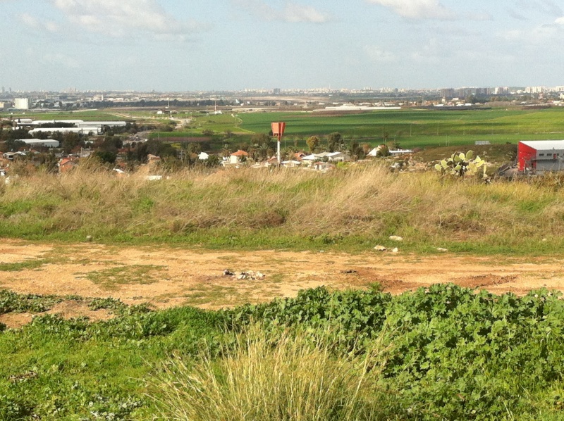 קובץ:2013.02.11-094051.658.iphone.jpg