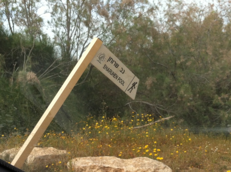 קובץ:2013.03.30-145443.292.iphone.jpg