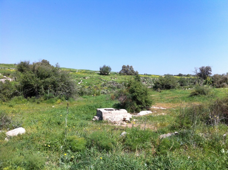 קובץ:2013.03.9-125107.594.iphone.jpg