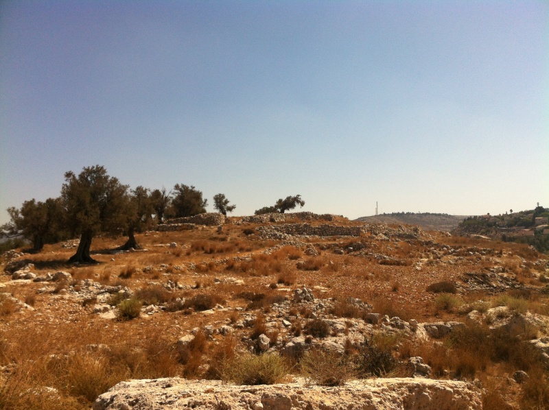 קובץ:2013.09.10-110136.622.iphone.jpg