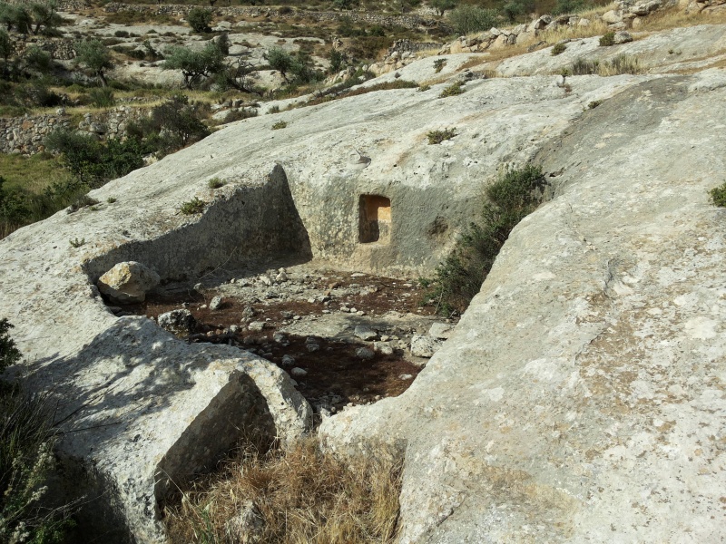 קובץ:20130526 075739.jpg