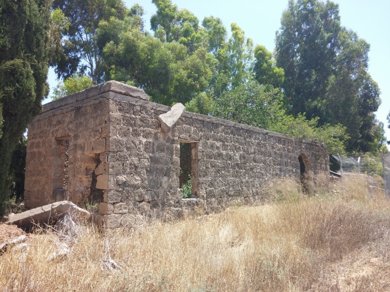 קובץ:2014.06.08-141316.478.android.jpg