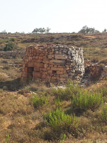 קובץ:2014.06.20-174034.349.android.jpg