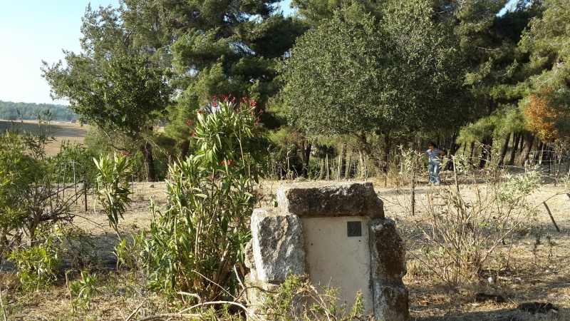 קובץ:2014.07.05-190134.346.android.jpg