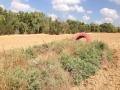 תמונה ממוזערת לגרסה מתאריך 07:03, 19 ביולי 2014