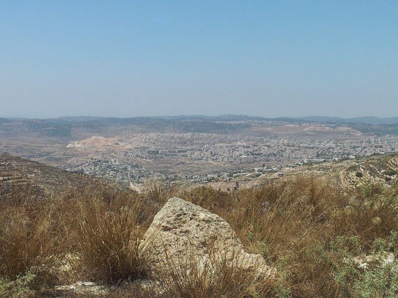 קובץ:2014.08.11-145418.096.android.jpg