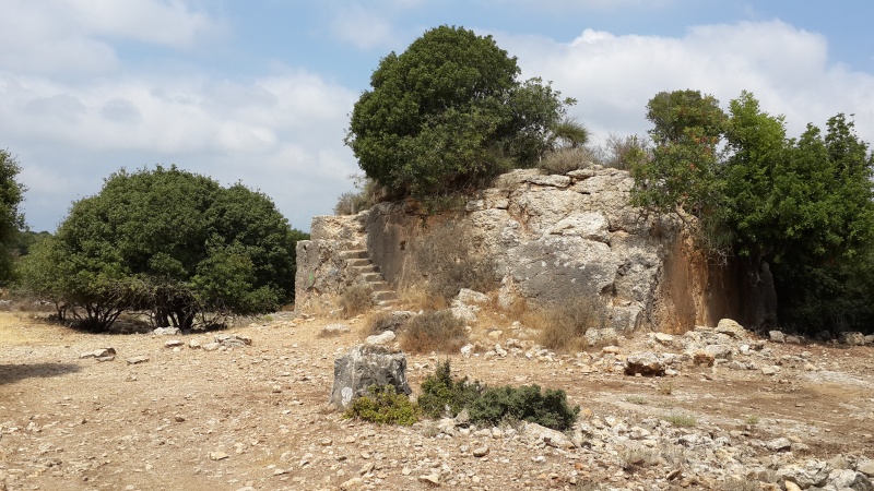 קובץ:2014.08.30-121813.064.android.jpg