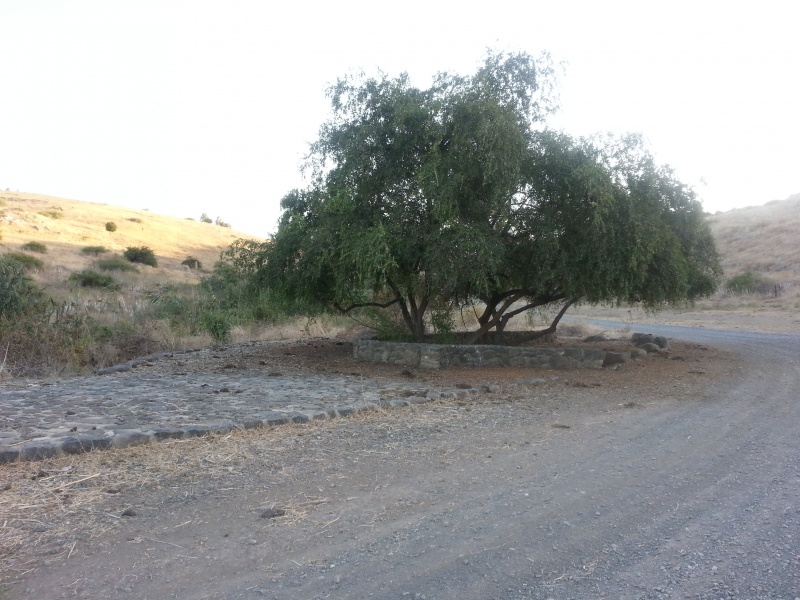 קובץ:2014.09.25-185447.696.android.jpg