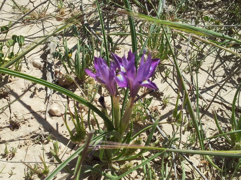 קובץ:20140228 131339.jpg