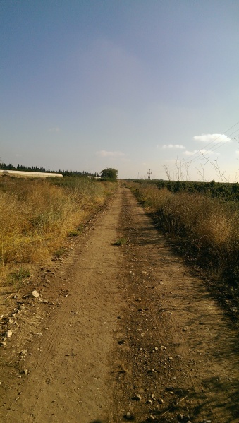 קובץ:2015-07-09 08.15.10.jpg