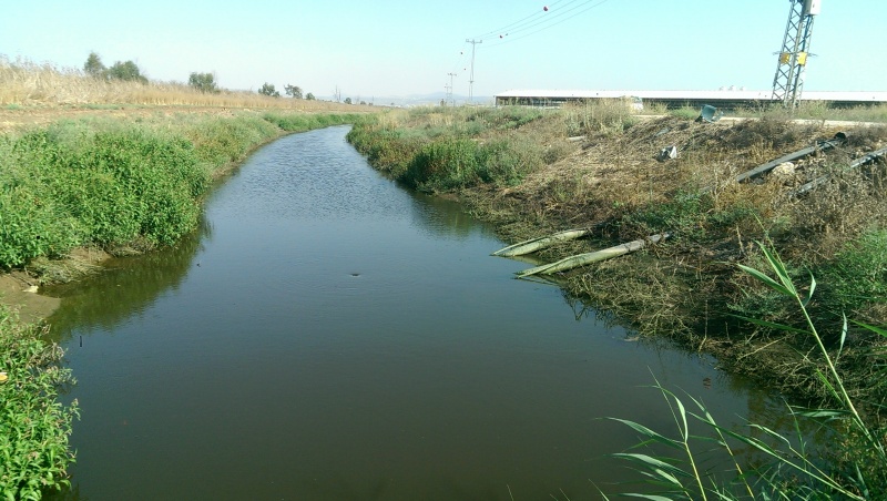 קובץ:2015-08-07 16.30.10.jpg