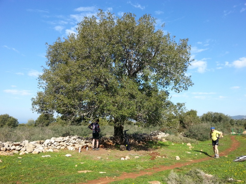 קובץ:2015.01.24-104727.205.android.jpg