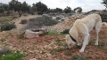 תמונה ממוזערת לגרסה מתאריך 22:45, 30 בינואר 2015