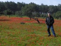 תמונה ממוזערת לגרסה מתאריך 06:58, 17 בדצמבר 2016