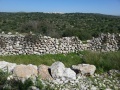 תמונה ממוזערת לגרסה מתאריך 11:10, 6 במרץ 2015