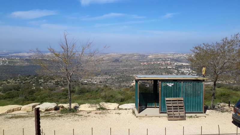 קובץ:2015.03.23-104435.451.android.jpg