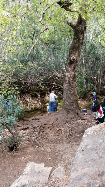 קובץ:2015.03.25-144509.241.android.jpg