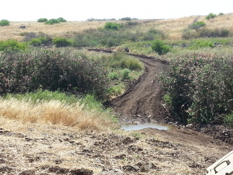 קובץ:2015.05.18-114651.361.android.jpg