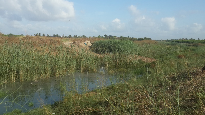 קובץ:2015.05.22-085743.503.android.jpg