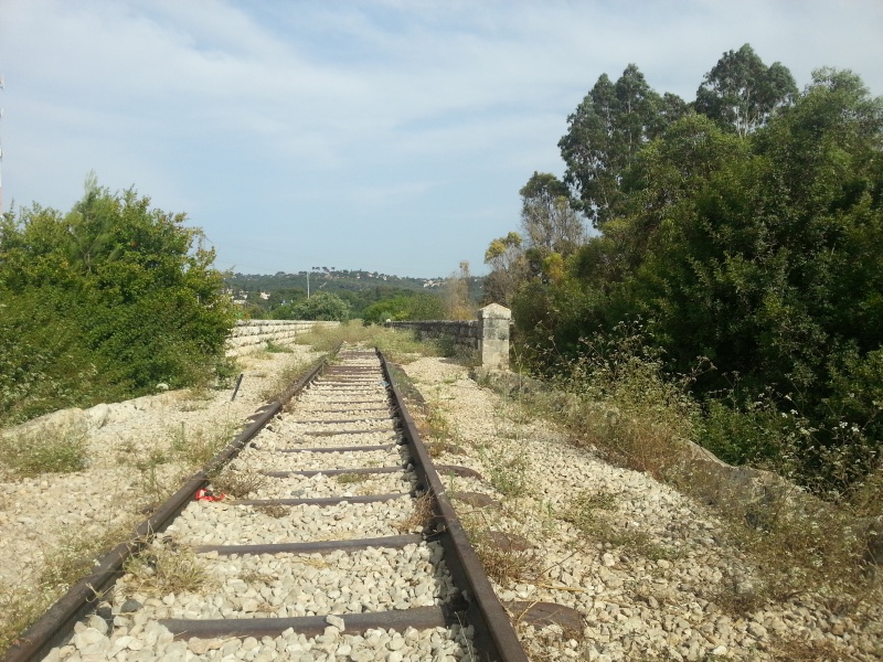 קובץ:2015.06.07-176029.209.android.jpg