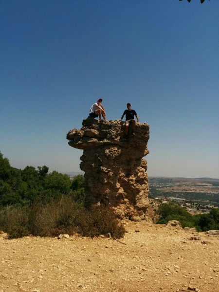 קובץ:2015.07.17-123144.950.android.jpg