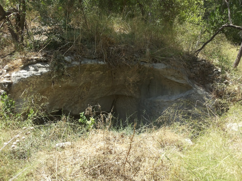 קובץ:2015.08.09-132450.851.android.jpg