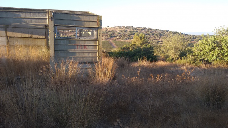 קובץ:2015.09.28-080915.353.android.jpg