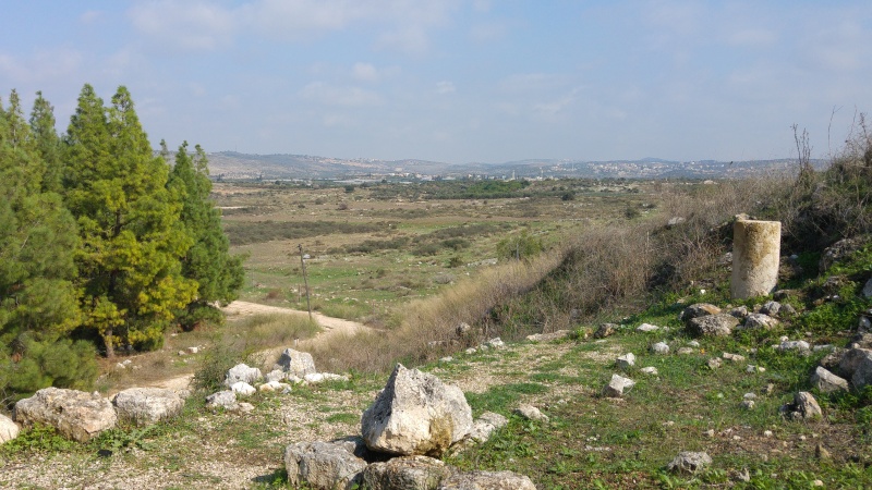 קובץ:2015.11.07-132159.524.android.jpg