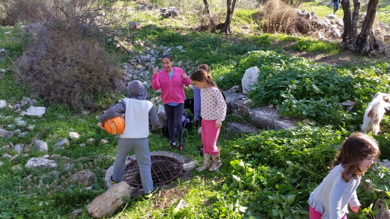 קובץ:2015.12.26-131836.216.android.jpg