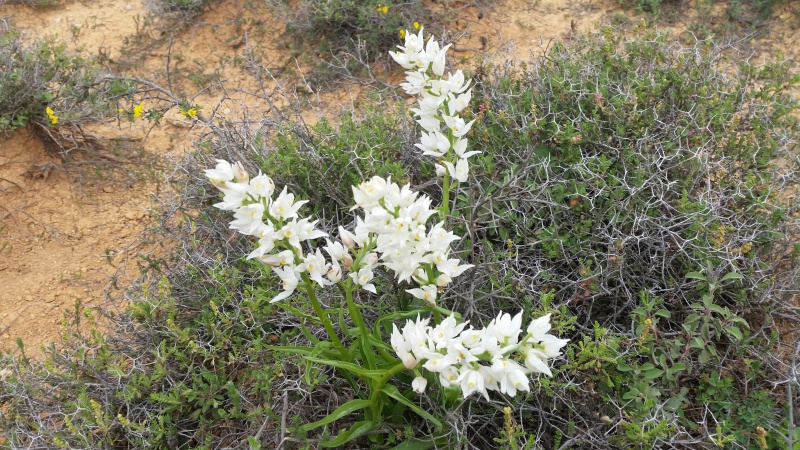 קובץ:20150409 131757.jpg