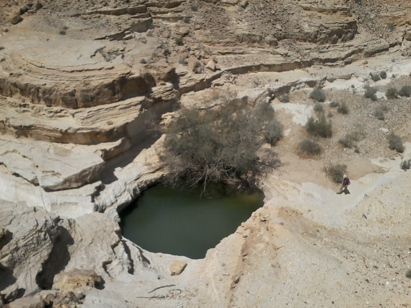 קובץ:20150415 120449-1-.jpg