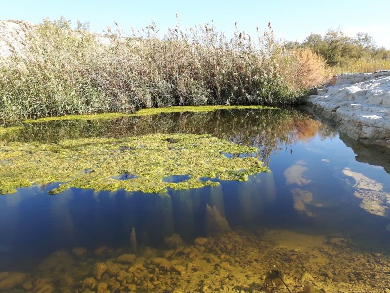 קובץ:2016.01.04-151458.741.android.jpg