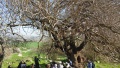 תמונה ממוזערת לגרסה מתאריך 13:28, 14 בפברואר 2016