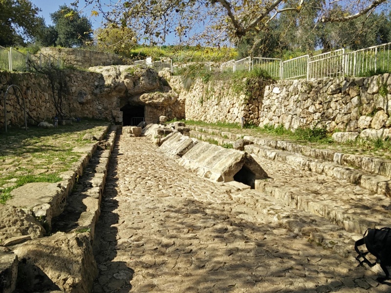 קובץ:2016.02.26-144852.939.android.jpg