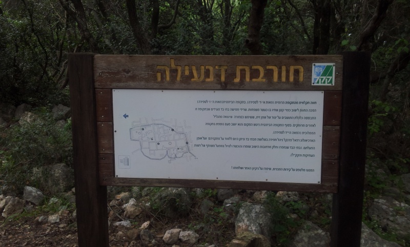 קובץ:2016.03.04-134853.418.android.jpg