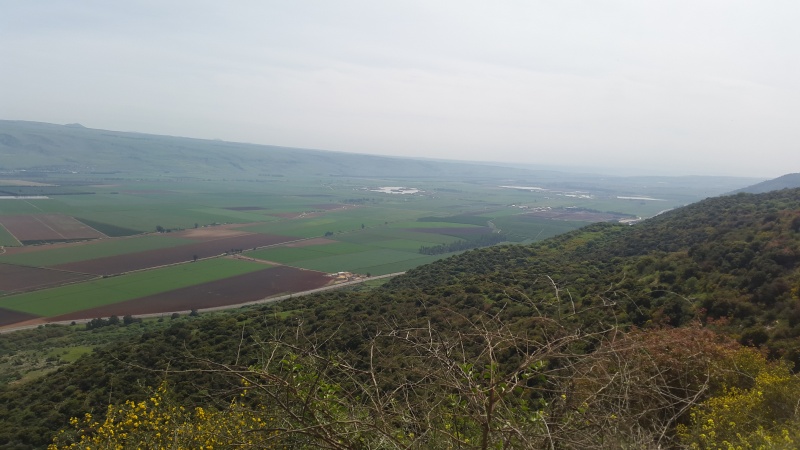 קובץ:2016.03.12-122920.299.android.jpg