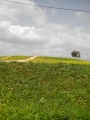 תמונה ממוזערת לגרסה מתאריך 14:22, 3 באפריל 2016