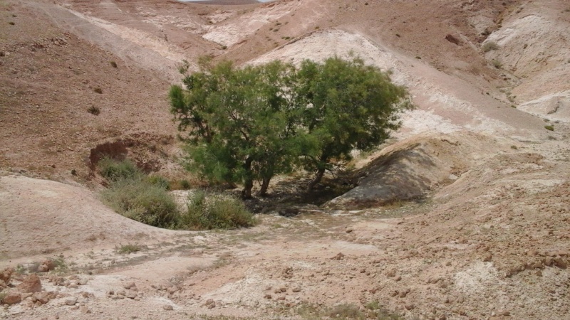 קובץ:2016.04.27-150321.348.android.jpg