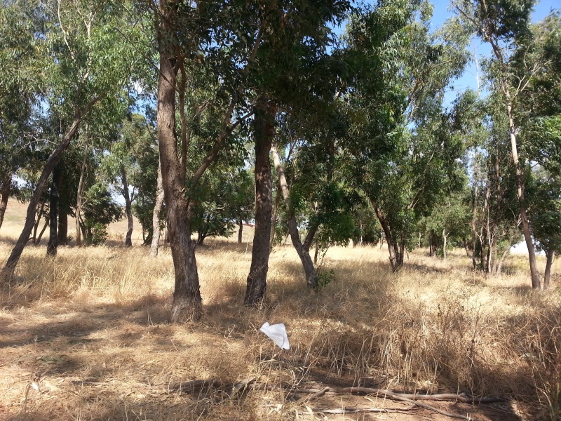 קובץ:2016.05.07-164637.072.android.jpg