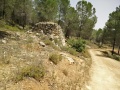 תמונה ממוזערת לגרסה מתאריך 09:43, 3 ביוני 2016