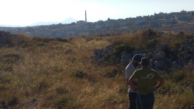 קובץ:2016.06.17-081255.848.android.jpg