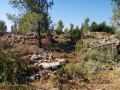 תמונה ממוזערת לגרסה מתאריך 06:59, 31 ביולי 2016