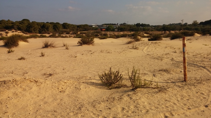 קובץ:2016.08.04-090853.474.android.jpg