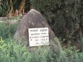 תמונה ממוזערת לגרסה מתאריך 16:14, 20 באוגוסט 2016