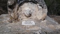 תמונה ממוזערת לגרסה מתאריך 08:30, 16 בספטמבר 2016